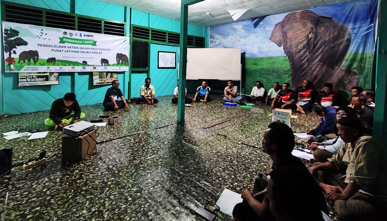 SEBUAH CERITA KEMERIAHAN BIMTEK PENGELOLAAN GAJAH DI PLG SEBLAT